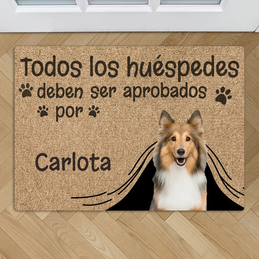 Visita aprobada - Felpudo personalizado