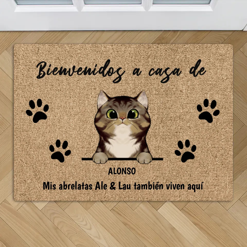 Bienvenidos a lo de gatos curiosos - Felpudo personalizado