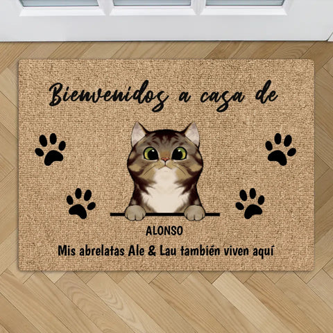 Bienvenidos a lo de gatos curiosos - Felpudo personalizado - Featured Image