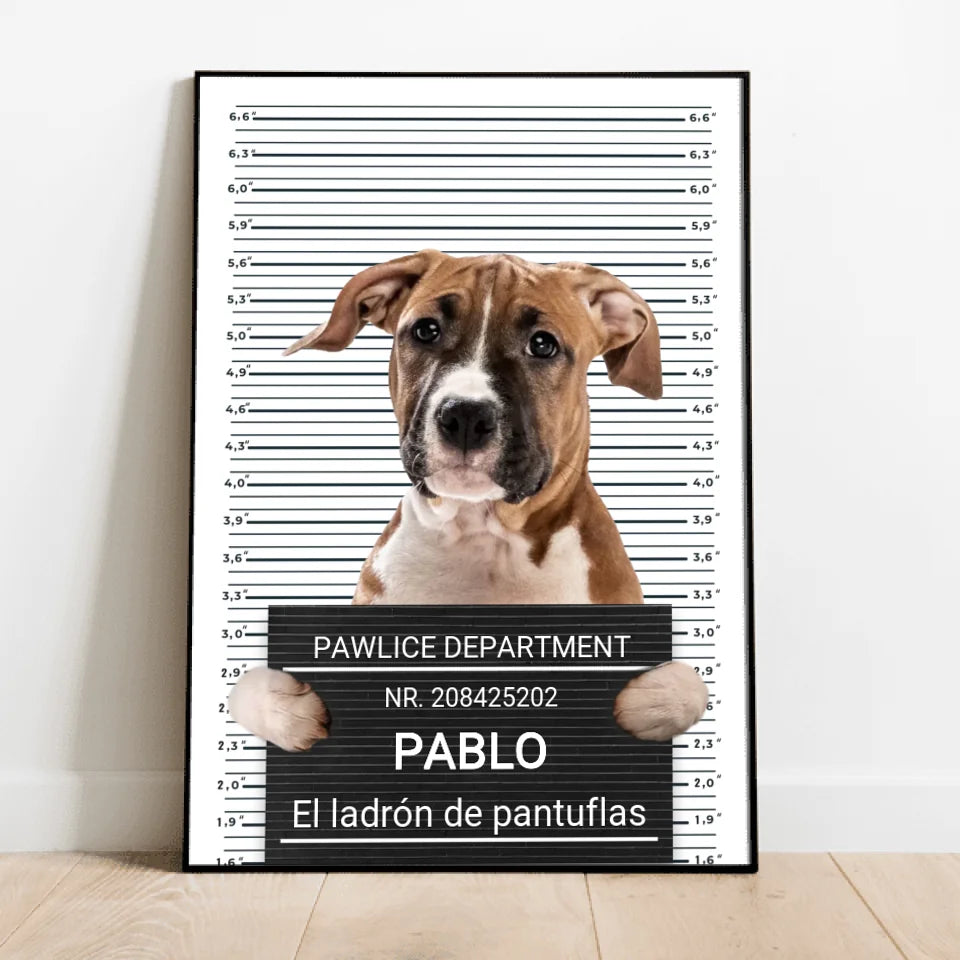 Ficha policial - Póster personalizado