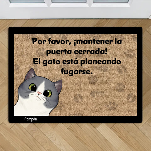 Los gatos planean una fuga - Felpudo personalizado - Featured Image