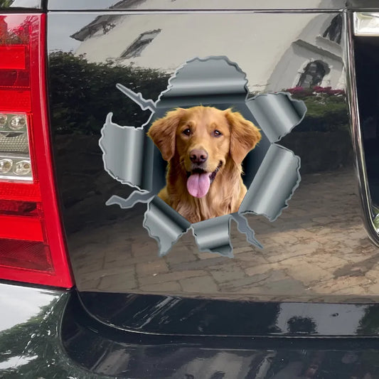 Foto curiosa - Pegatina para coche personalizada