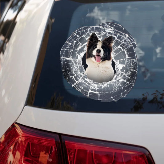 Foto curiosa vidrio - Pegatina para coche personalizada