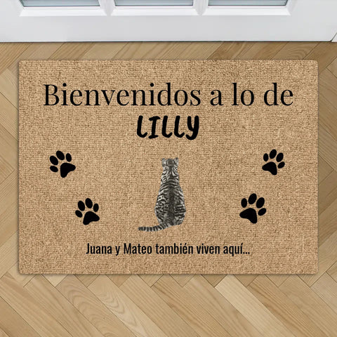 Bienvenidos a casa de (gatos) - Felpudo personalizado - Featured Image