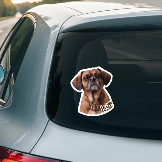 Car Sticker - SHOP NEW 2