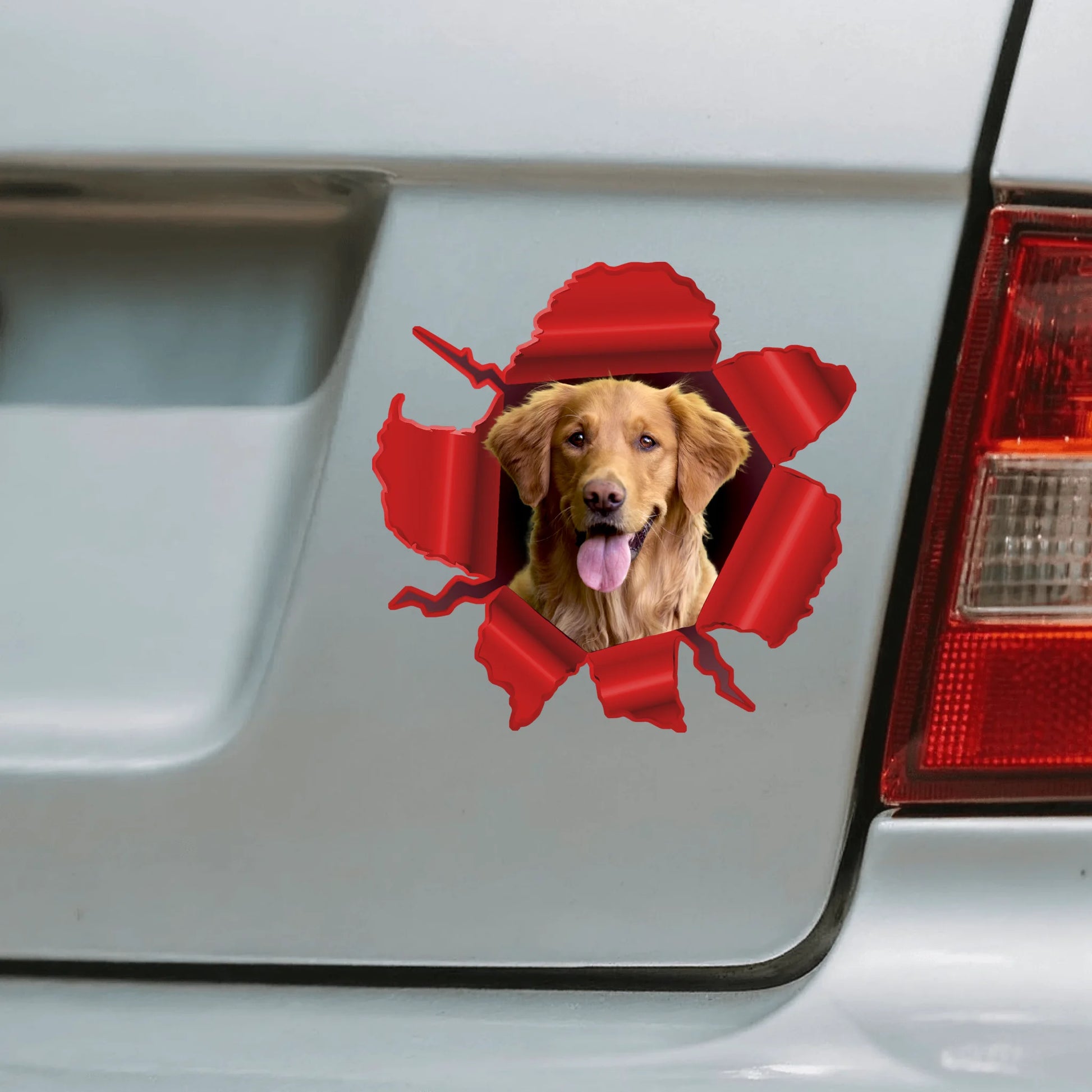 Car Sticker - SHOP NEW 1