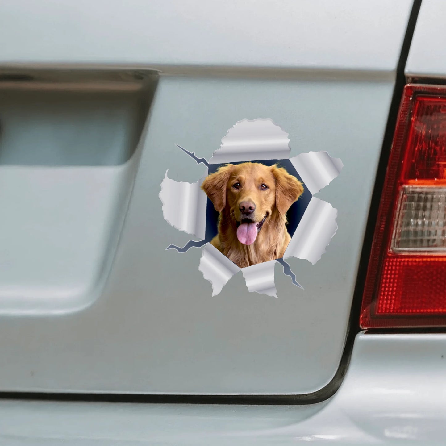 Foto curiosa - Pegatina para coche personalizada