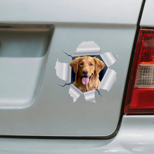 Foto curiosa - Pegatina para coche personalizada