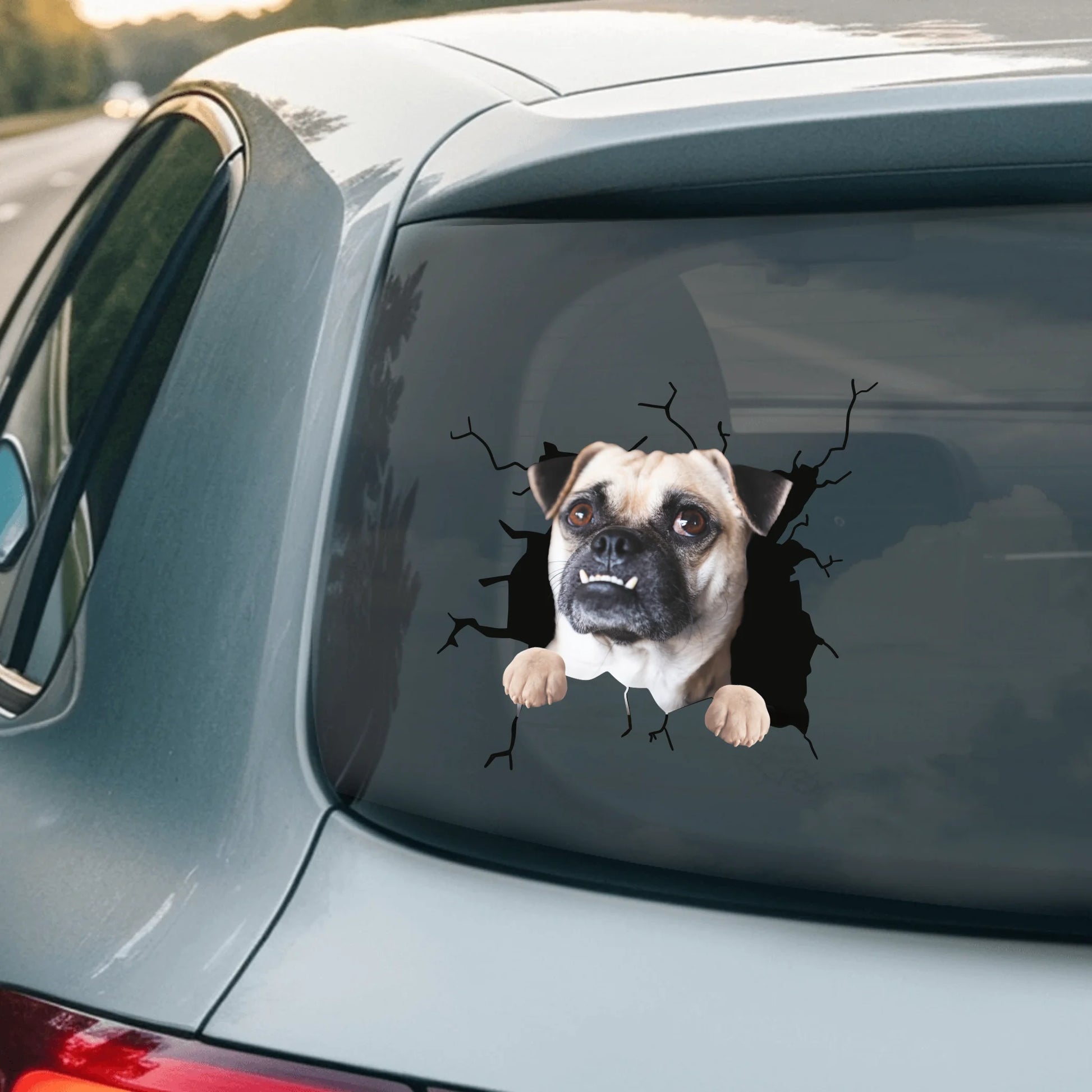 Car Sticker - SHOP NEW 2