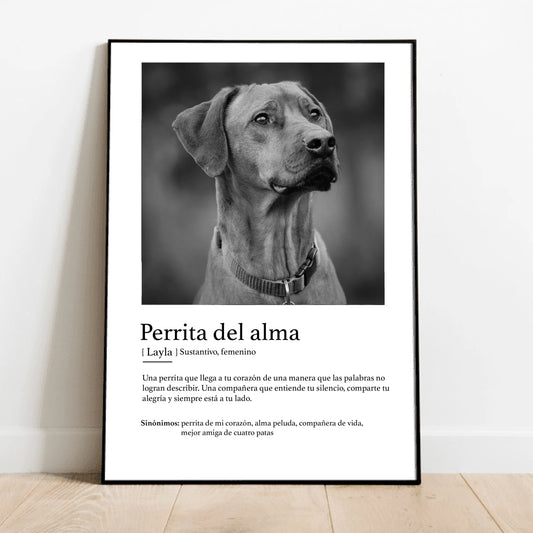 Definición animalito del alma - Póster personalizado