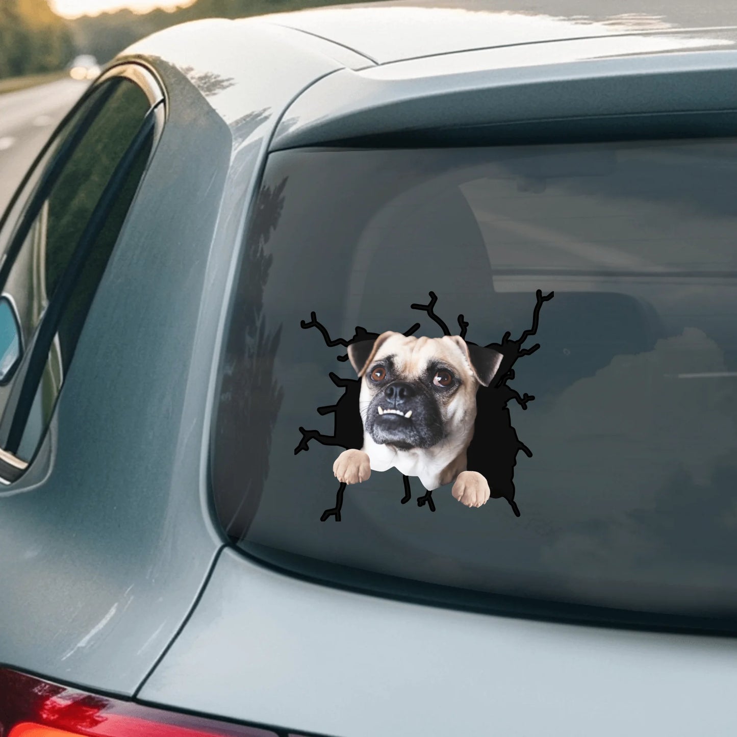 Car Sticker - SHOP NEW 2