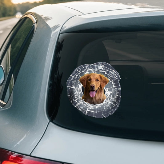 Car Sticker - SHOP NEW 2