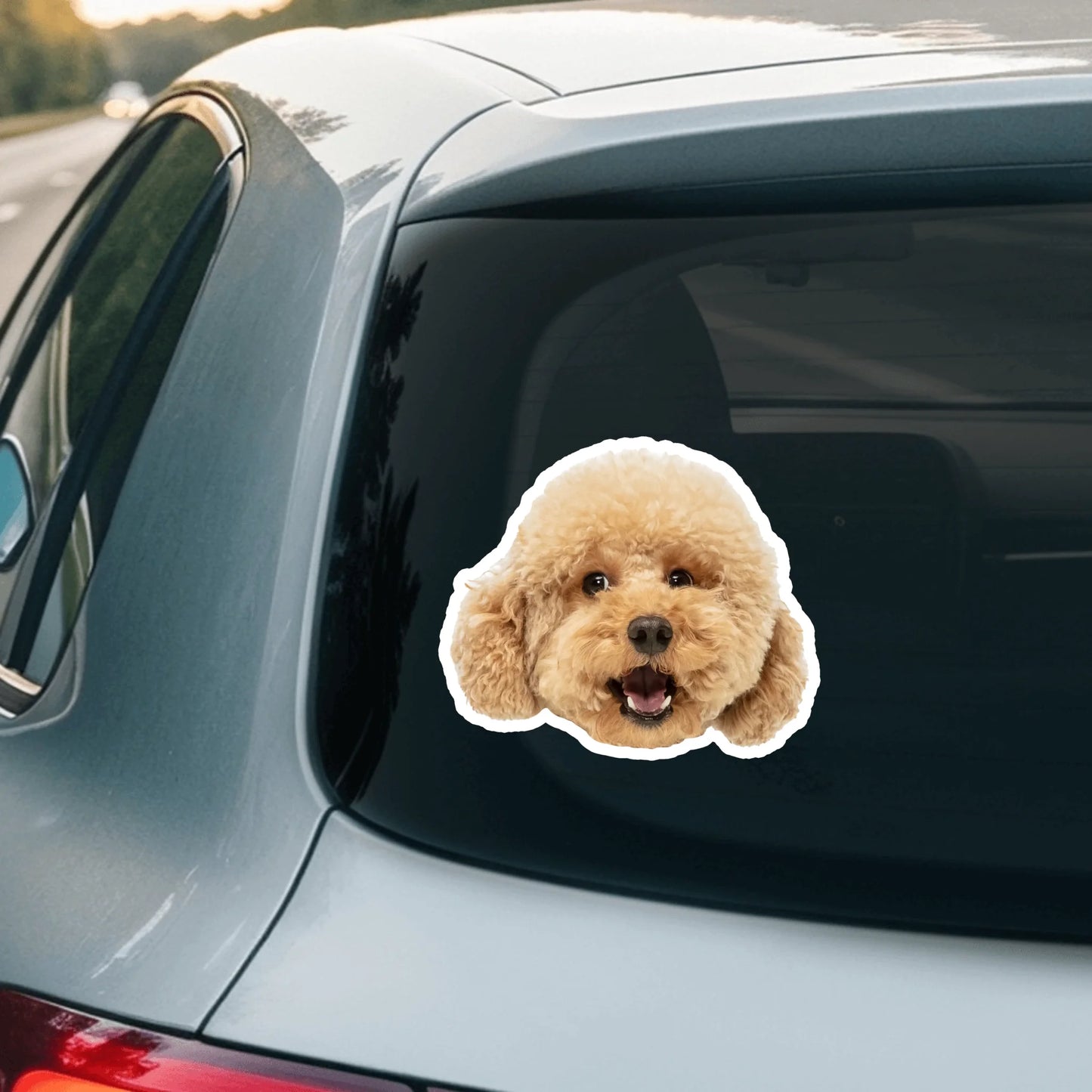 Car Sticker - SHOP NEW 2